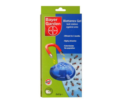 Блатанекс – препарат против мравки в пластмасови къщички - Бран Инсект